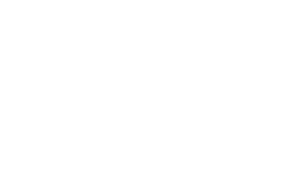 dfe logo